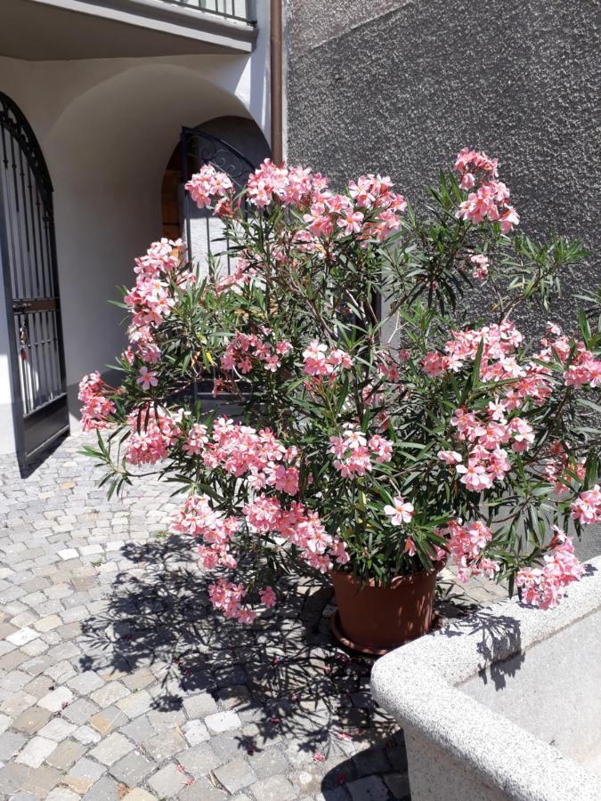 Aux Trois Soleils Bed & Breakfast Chexbres Exterior foto
